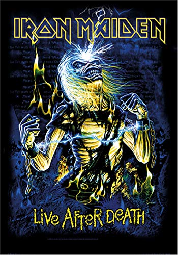 Global Merchandising Iron Maiden Flagge LIVE After Death #3 von Heart Rock