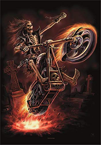 Heart Rock Bandiera Originale Anne Stokes - Hellrider Tessuto, Multicolore, 110x75x0.1 cm von Heart Rock