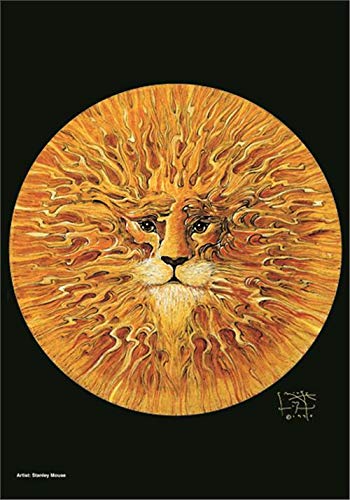 Heart Rock Flagge Original Stanley Mouse Sun Lion, Stoff, Mehrfarbig, 110 x 75 x 0,1 cm von Heart Rock