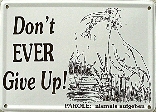 Heart of Ireland Mini-Blechschild Don´t Ever give up!, 11 x 8 cm von Heart of Ireland