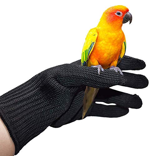 Hearthrousy schutzhandschuhe weiß Schwarz Vögel Bissfeste Schutzhandschuhe Beißschutz Handschuhe Schnittfest Waschbar Geeignet zum FassenTrainieren Trimmen von Vogelfedernägeln und Füttern von Hearthrousy