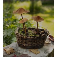 3Er Set Stecker Pilze von HeathersDekoShop