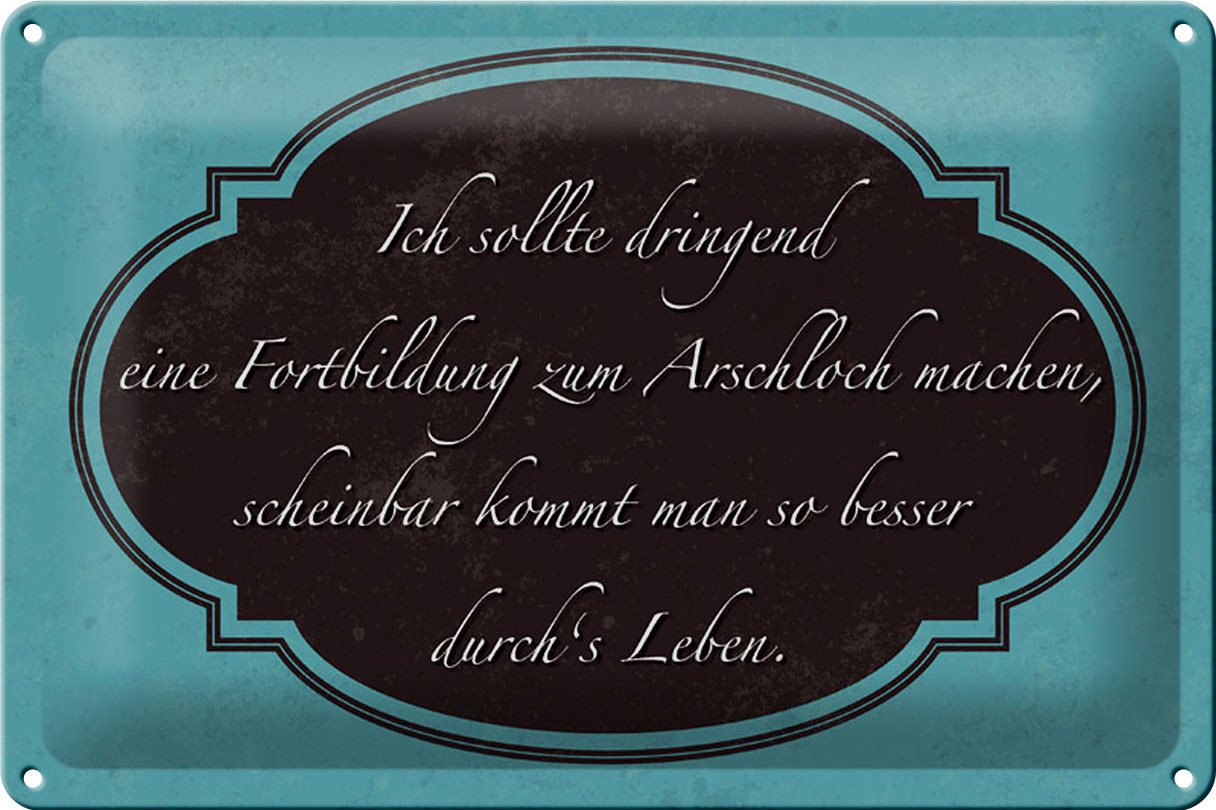 Hebold Metallschild Schild Blech 30x20cm - Made in Germany - Spruch ich Fortbildung zum Ar von Hebold