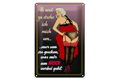 Schild Blech 20x30cm - Made in Germany - Pinup ab und zu drehe ich mich um Arsch Metall Deko Schild von Hebold
