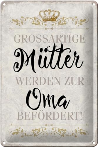 Schild Blech 20x30cm - Made in Germany - Spruch grossartig M�tter werden zur Oma Metall Deko Blechschild von Hebold