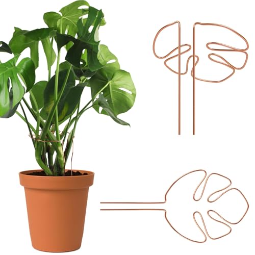 Hebterrka Pflanzenstütze 2er Set, Aluminium Mit Einzigartigem Blattdesign Für Zimmerpflanzen, Vieltaltige Stängelstütze Für Alocasia Und Monstera, Dekorative Unterstützung von Hebterrka