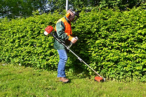 HECHT Benzin Freischneider Motorsense mit 2-Takt-Motor mit 2 PS – 43 cm und 25,5 cm Schnittkreis – inklusive Doppel Faden Spule und Metallmesser, Komfort-Tragegurt, Lenkradgriff – Antivibrationsgriff von Hecht