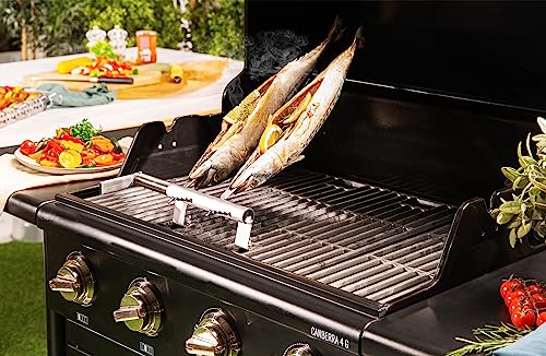 Hecht SPIESS-FISCHGRILLER Escada Grillhilfe Steckerlfisch von Hecht