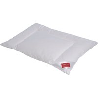 Hefel Synthetikkopfkissen "Bauchschläferkissen, Entlastet Nacken- und Rückenmuskulatur", Füllung: 100% Hefel-PES-Softbausch, Bezug: 100% Baumwolle, (1 St.), Kopfkissen 40x80 cm, 80x80cm, flach von Hefel