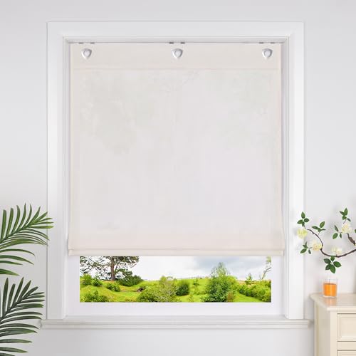 Heichkell Raffrollo mit Ösen Halbtransparent Raffgardine Küche Rollo Einfarbige Gardine Beige BreitexHöhe 100x140 cm Heichkell Raffrollo mit Ösen Halbtransparent Raffgardine Küche Rollo Einfarbige Gardine Beige BreitexHöhe 100x140 cm von HeichkelL