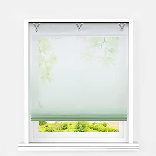 Heichkell Voile Raffrollo ohne Bohren Transparent Raffgardine mit Ösen Farbverlauf Fenstergardine Hakenaufhängung Modern Ösenrollo Vorhänge Grün BxH 60x130cm von HeichkelL