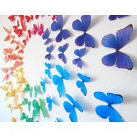 3D Regenbogen Wand Schmetterlinge - Set Von 70 3D Regenbogen Wand Schmetterlinge - Set Von 70 von HeidisHubbub