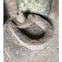 Tränke Vogeltränke Eckig Eidechse Mini Und Frosch Paar Kunst Sandstein D 24 von HeimUndGartenDeko