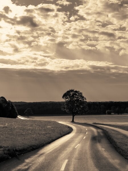 Heimart Impress Ökologischer Fine Art Druck / Sepia Fotografie - Landstrasse im Morgenlicht / Landschaft / Wanddekoration von Heimart Impress