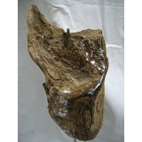 Schwemmholz Skulptur/stilvolle Holz-Dekoration von Heimatgefuehl