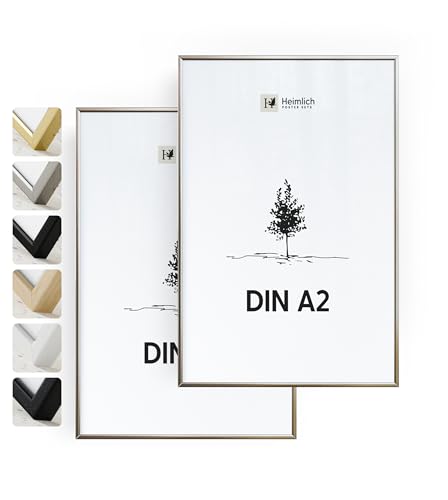 Heimlich® 2x Bilderrahmen DIN A2 42x59,4 cm Silber Champagne Metall Rahmen 2-Pack | Dokumentenrahmen 42x59,4 cm Groß Collage | Metallrahmen Alu-Bilderrahmen Aluminium | Picture Frame 42x60 Fotorahmen von Heimlich