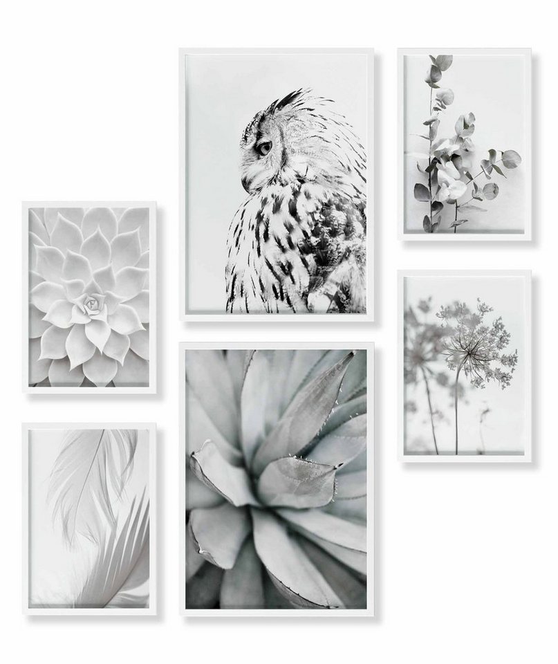 Heimlich Poster Set als Wohnzimmer Deko, Bilder DINA3 & DINA4, Agave Eukalyptus Eule, Blumen von Heimlich