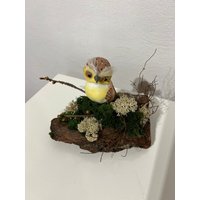 Eule Auf Einer Baumrinde Eule Auf Einer Baumrinde von HeimlichDeko