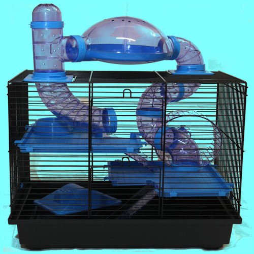 Nagerkäfig Hamsterkäfig Mäusekäfig Käfig viele Röhren, Haus, Laufrad Rocky blau Nagerkäfig Hamsterkäfig Mäusekäfig Käfig viele Röhren, Haus, Laufrad Rocky blau von Heimtiercenter
