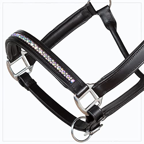 Heinick-Reitsport Qualitäts Lederhalfter ~ ProLine Dust Rainbow ~ Stallhalfter Halfter Strass Warmblut von Heinick-Reitsport