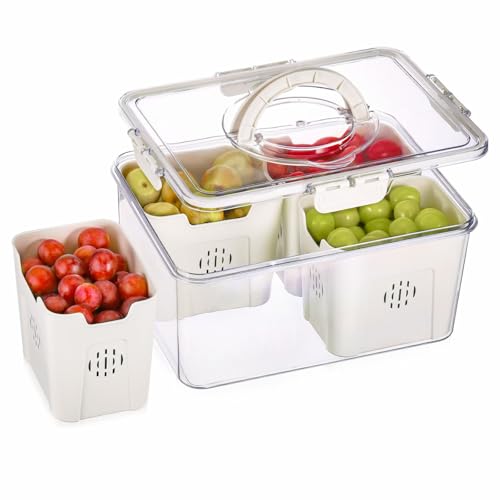 Hejo Frischhaltedosen mit Deckel Sieb, Größer Kühlschrank Organizer mit Deckel, Gemüse Obst-Aufbewahrungsbox mit Griff, Mehrweg Picknick Box, Snackbox mit Fächern für Küchen Wohnzimmer Camping von Hejo