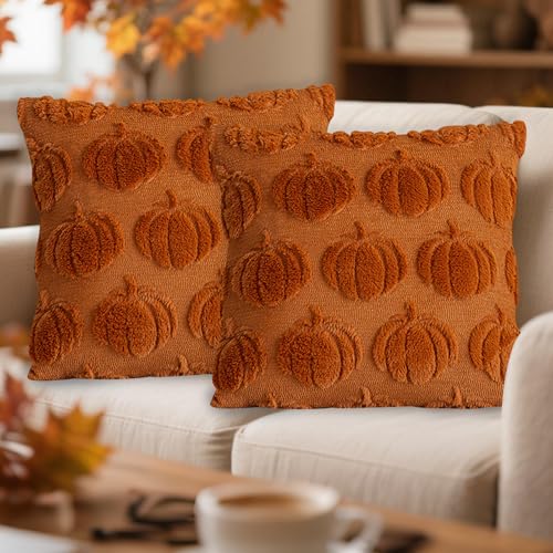 Hekasvm Herbst Halloween Kürbis Kissenbezug 45x45 cm 2er Set Plüsch Bezüge für Sofa Wohnzimmer Herbstdekor (B) von Hekasvm