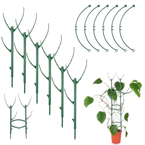 6 Stück Pflanzen Stütze Rankstäbe Grünpflanzen Staudenhalter Zimmerpflanzen Stapelbare Pflanzenhalter Kletterpflanzen Pflanzenstütze für Drinnen Draußen Monstera Pflanzen Topfblumen 6 Stück Pflanzen Stütze Rankstäbe Grünpflanzen Staudenhalter Zimmerpflanzen Stapelbare Pflanzenhalter Kletterpflanzen Pflanzenstütze für Drinnen Draußen Monstera Pflanzen Topfblumen von HekouJiub