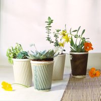 Keramik Übertopf Für Sukkulenten Topfpflanzen. Perfekt Auch Als Kaktustopf. Oder Eine Teetasse von HelenRebeccaCeramics