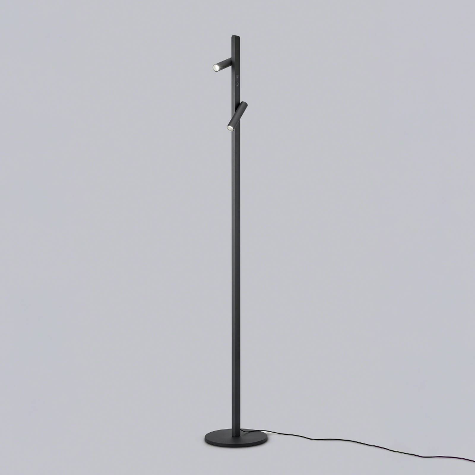 Helestra Coni LED-Stehlampe 2 Spots 160cm schwarz von Helestra