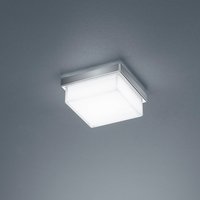 Helestra Cosi LED Wand- / Deckenleuchte von Helestra