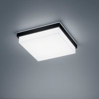 Helestra Cosi LED Deckenleuchte, mit Casambi-Modul von Helestra