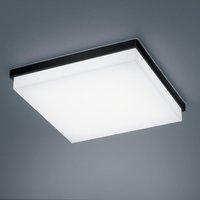 Helestra Cosi LED Deckenleuchte, mit Casambi-Modul 31,5 x 31,5 cm, schwarz matt / Glas satiniert Helestra Cosi LED Deckenleuchte, mit Casambi-Modul 31,5 x 31,5 cm, schwarz matt / Glas satiniert von Helestra