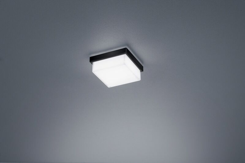 Helestra Cosi LED Wand- / Deckenleuchte mattschwarz 7W 11 cm Helestra Cosi LED Wand- / Deckenleuchte mattschwarz 7W 11 cm von Helestra