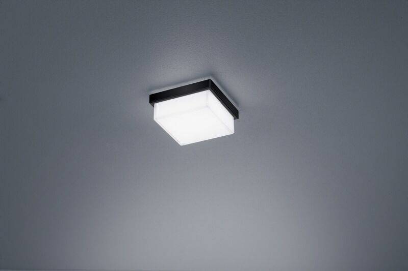 Helestra Cosi LED Wand- / Deckenleuchte mattschwarz 7W 11 cm von Helestra