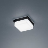 Helestra Cosi LED Wand- / Deckenleuchte von Helestra