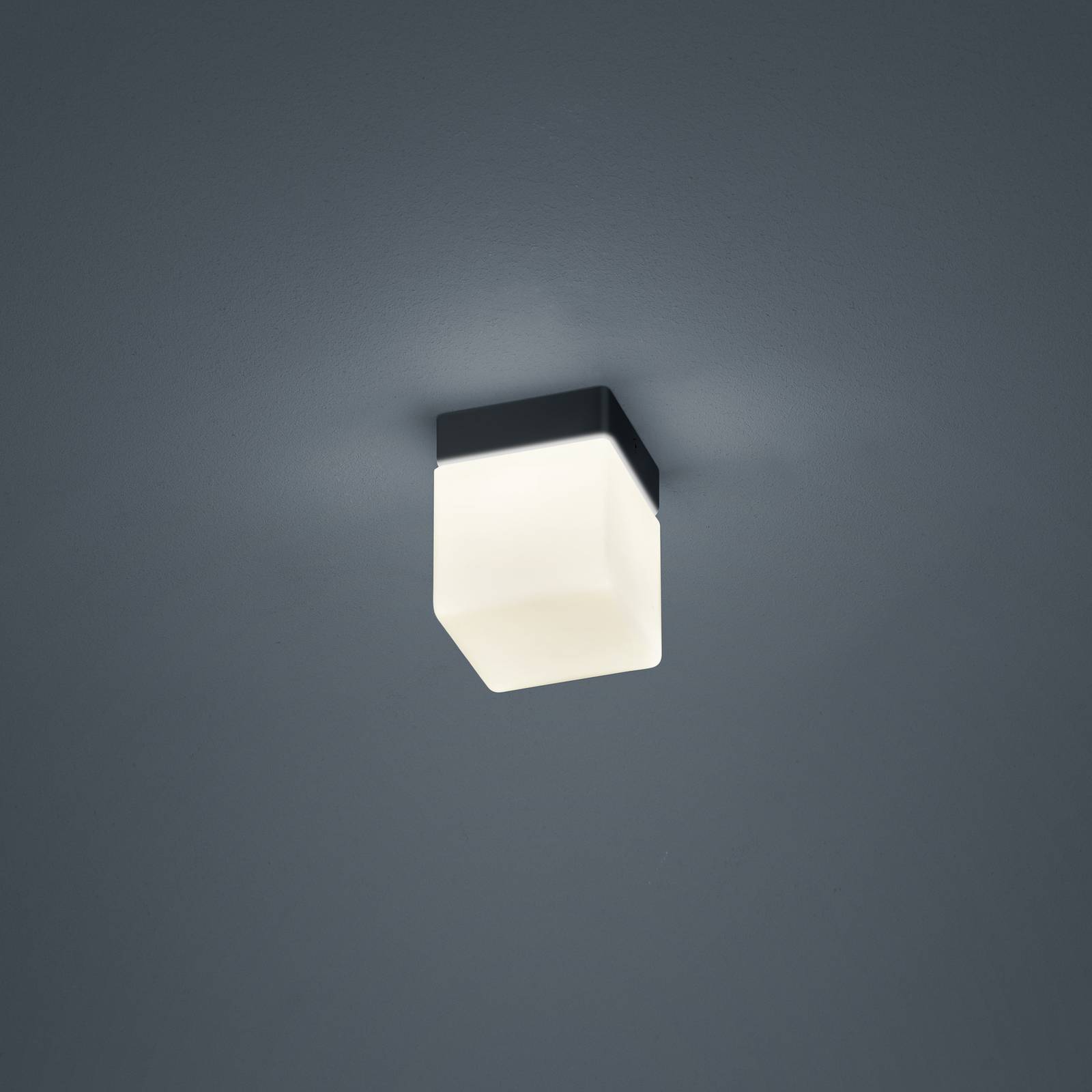Helestra Keto LED-Deckenleuchte, Würfel, schwarz von Helestra