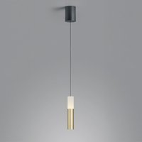 Helestra Lidos LED Pendelleuchte schwarz matt / Gold matt Helestra Lidos LED Pendelleuchte schwarz matt / Gold matt von Helestra