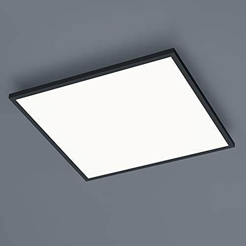 Helestra Rack Deckenleuchte LED, schwarz matt - quadratisch von Helestra