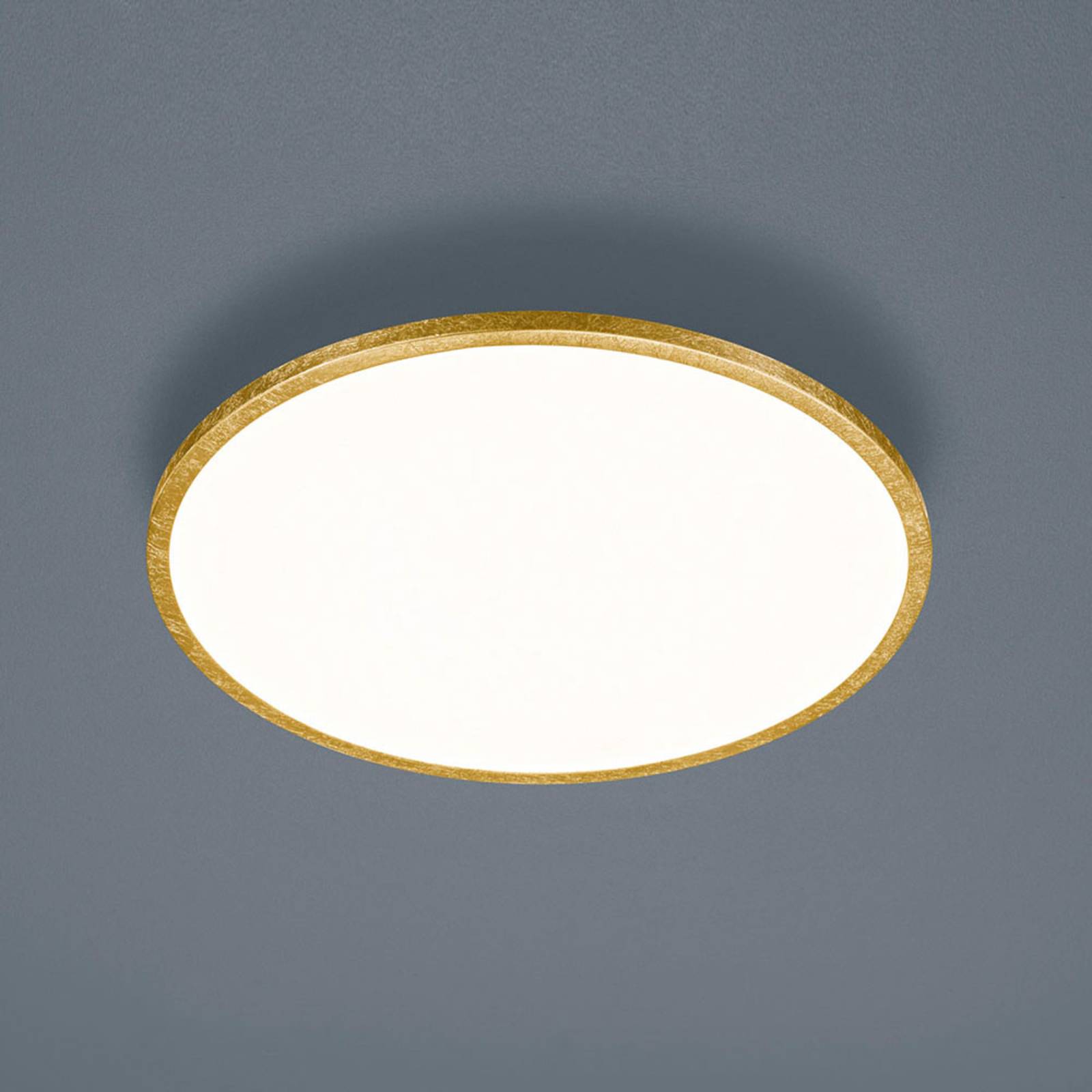 Helestra Rack LED-Deckenlampe dimmbar rund gold von Helestra