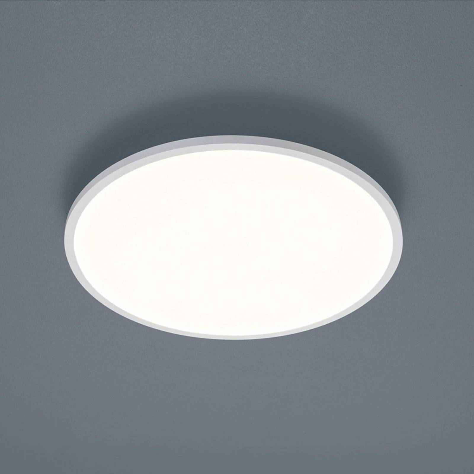 Helestra Rack LED-Deckenlampe dimmbar rund weiß von Helestra
