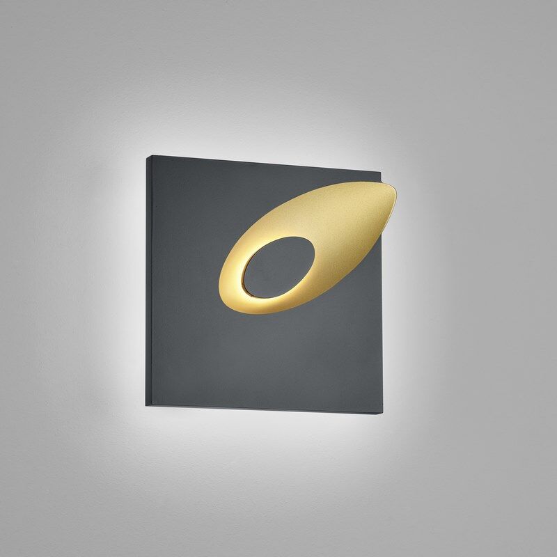 Helestra Tail LED Wandleuchte mattschwarz - gold von Helestra
