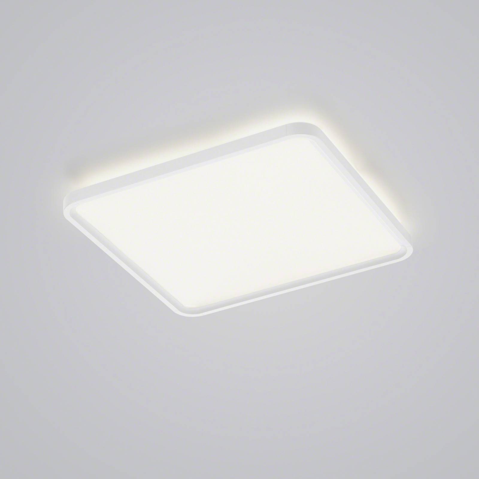 Helestra Vesp LED-Panel Backlight 61x61cm weiß von Helestra