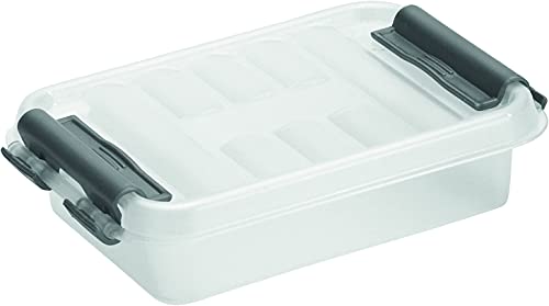 Sunware 83200017 - Aufbewahrungsbox „the q-line“, 0,2 Liter, mit Deckel, transparent, 1 Stück von SUNWARE perfectly organised