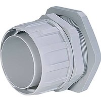 HellermannTyton 167-00533 FG21-M25-PP-GY Schlauchverschraubung Grau M25 Gerade 1St. HellermannTyton 167-00533 FG21-M25-PP-GY Schlauchverschraubung Grau M25 Gerade 1St. von HellermannTyton