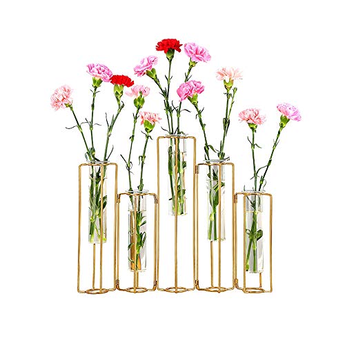 Aufklappbare Blumenvasen Reagenzglas Blumenvase mit 5 Reagenzgläsern Gold Metallrahmen kann gebogen und verbogen Werden, Anzuchtstation Pflanzenhalter Tubos De Ensayo für Zuhause Hochzeit Dekor, Aufklappbare Blumenvasen Reagenzglas Blumenvase mit 5 Reagenzgläsern Gold Metallrahmen kann gebogen und verbogen Werden, Anzuchtstation Pflanzenhalter Tubos De Ensayo für Zuhause Hochzeit Dekor, von hellohome
