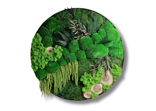 HelloMoss Moosbilder mit Rahmen 40cm - Moosbild XXL mit Island Moos Konserviert - Luxus Deko für Ihr Zuhause - Mooswand Deko Wohnzimmer Groß HelloMoss Moosbilder mit Rahmen 40cm - Moosbild XXL mit Island Moos Konserviert - Luxus Deko für Ihr Zuhause - Mooswand Deko Wohnzimmer Groß von HelloMoss