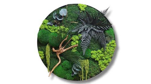 HelloMoss Moosbilder mit Rahmen 40cm - Moosbild XXL mit Island Moos Konserviert - Luxus Deko für Ihr Zuhause - Mooswand Deko Wohnzimmer Groß HelloMoss Moosbilder mit Rahmen 40cm - Moosbild XXL mit Island Moos Konserviert - Luxus Deko für Ihr Zuhause - Mooswand Deko Wohnzimmer Groß von HelloMoss