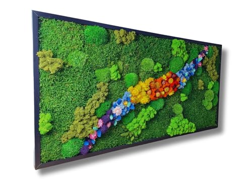 HelloMoss Moosbilder mit Rahmen 70x40cm - Moosbild XXL mit Island Moos Konserviert - Luxus Deko für Ihr Zuhause - Mooswand Deko Wohnzimmer Groß von HelloMoss