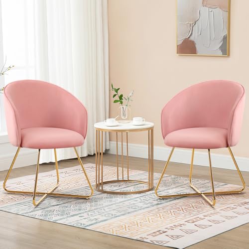 Hellove Schminktisch Stuhl mit Gold Metallbeinen, Stühle 2er Set Samt Rosa Comfy Schminktischstuhl, Simple Modern Sessel mit Armlehnen Zurück, Armchair, Makeup Polsterstuhl für Vanity,Wohnzimmer von Hellove