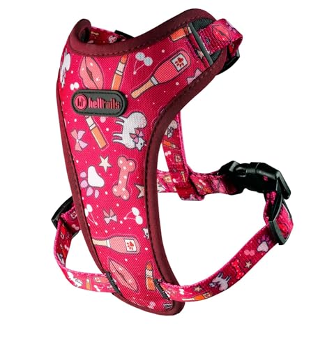 Helltails Anti Zug Hundegeschirr für Kleine Hunde | NO ABSORB | Atmungsaktiv Geschirr Hund Reflektierend | Brustgeschirr Einstellbar und Gepolstert | Welpengeschirr | Dog Harness | Champagne Kiss - XS von Helltails